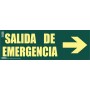 Señal Salida de emergencia + Flecha Clase A